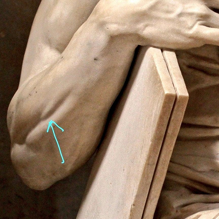 Michelangelo's Moses
