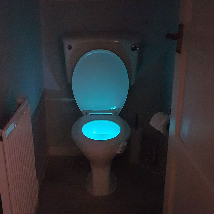 lumilux toilet light
